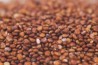 quinoa red organic 1kg