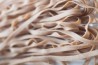 Spelt Fettuccine Organic
click to read more