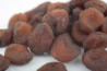 Apricot Organic
click to read more