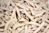 Khorasan Penne Organic
click to read more