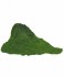Chlorella Broken Cell Powder Organic
click to read more