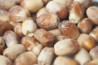 Dates Zahidi (bread) Australian Raw
click to read more