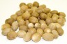 Nutmeg Whole Organic
click to read more