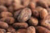 Cacao Beans Organic Raw
click to read more