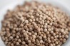 Coriander Whole Organic
click to read more