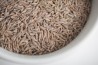 Cumin Seed Organic
click to read more