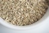 Fennel Seed Organic
click to read more
