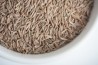 Caraway Seed Organic
click to read more