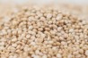 The Three Colours Of Quinoa Recipes The Three Colours Of Quinoa Recipes