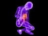 Osteoporosis And Bone Health Osteoporosis And Bone Health