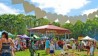 Mullumbimby Living Community Festival 2014 Mullumbimby Living Community Festival 2014