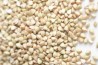 Buckwheat Linseed Muffins Buckwheat Linseed Muffins